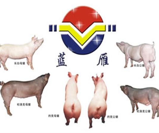 四川省樂山牧源種畜科技有限公司